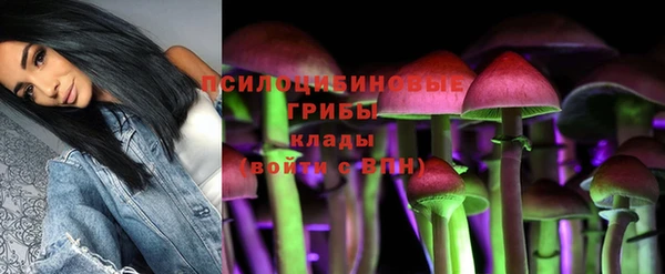 ПСИЛОЦИБИНОВЫЕ ГРИБЫ Алексин