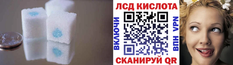 как найти наркотики  Приозерск  LSD-25 экстази ecstasy 